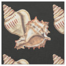 Suche nach muscheln stoffe Tritonshorn