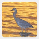 Suche nach florida aufkleber Sonnenuntergang