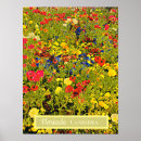 Suche nach canberra poster Blume