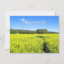 Recherche de ciel jaune cartes postales Fleurs jaunes