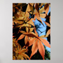 Suche nach japanischer ahorn poster Orange