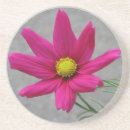 Suche nach kosmos blume untersetzer Rosa
