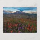 Recherche de chemin terre cartes postales Paysage