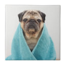 Suche nach lustiges gesicht fliesen Mops