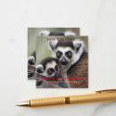 Recherche de primat invitations Lémur