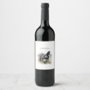 Suche nach schwarzer stallion Wildpferd