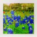 Recherche de indian puzzles Texas
