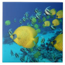 Recherche de natation carreaux Faune