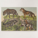 Recherche de chiens loup puzzles Chien sauvage