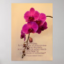 Suche nach orchidee phalaenopsis poster Orchideen