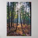 Suche nach stumpf poster Holz