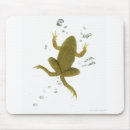 Suche nach grüner frosch mousepads In voller länge
