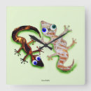 Recherche de geckos horloges Coloré