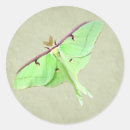 Recherche de mites autocollants Nature