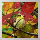 Suche nach goldschmied poster Finke