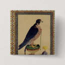 Suche nach falknerei buttons Vogel