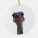 Suche nach portrait ornamente Vögel