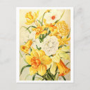 Suche nach narzissen für postkarten Gelb