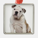 Suche nach monate ornamente Hund