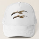 Recherche de plumes casquettes Nature