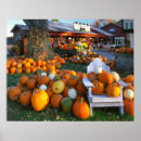Suche nach adirondack stuhl poster Herbst