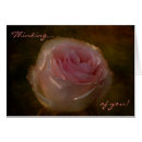 Recherche de conceptions des textes photographie Rose