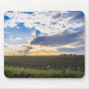 Recherche de santa autres Photographie