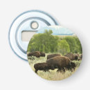 Recherche de bison ouvre bouteilles Wyoming