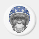 Recherche de casque moto magnets Pilote
