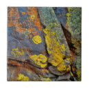 Recherche de rocher carreaux Orange