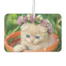 Recherche de chaton voiture accessoires Félin
