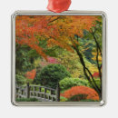 Suche nach ahorn ornamente Gelb