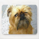 Recherche de bruxelles tapis souris Griffon