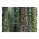 Recherche de raymond cartes postales Parc