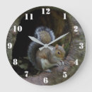 Recherche de écureuil gris horloges Faune