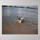 Suche nach strand foto poster Sommer