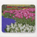 Recherche de jacinthe tapis souris Motif