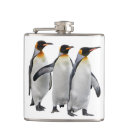 Suche nach pinguin flachmänner Vögel