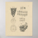 Recherche de bouche humaine posters Anatomie