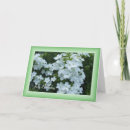 Suche nach hübsche weiße blumen karten Für sie