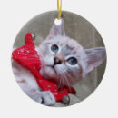 Suche nach luchs ornamente Katze