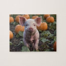 Suche nach pig puzzle Niedlich