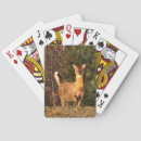 Recherche de queue jeux de cartes Faune