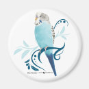 Suche nach parakeet magnete Budgerigar