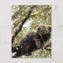 Suche nach paket postkarten Briefmarke