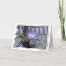 Suche nach seerose karten Blumen