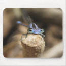 Recherche de 1 photo tapis souris Nature