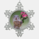 Suche nach murmeltiere ornamente Niedlich