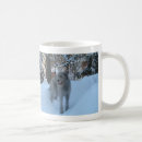 Recherche de chien loup tasses Irlandais