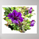 Suche nach reinheit poster Inspiration